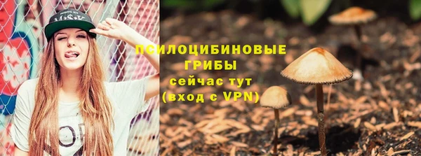 трава Алексин