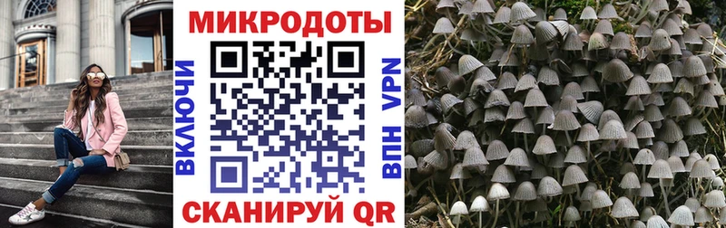 как найти наркотики  Саки  Псилоцибиновые грибы Magic Shrooms 